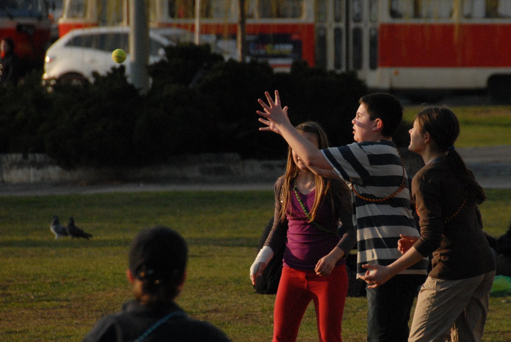 CAL 2012 unor schuzky 42